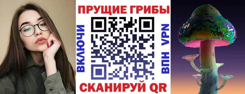 Псилоцибиновые грибы мицелий Купить Бирюч
